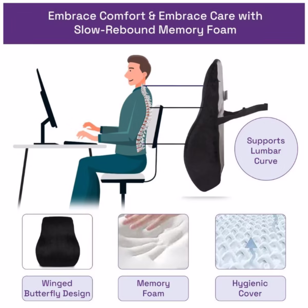 Fixcurve Orthopedic Back Support Cushion | Back Support Office & Car Seat Cushion